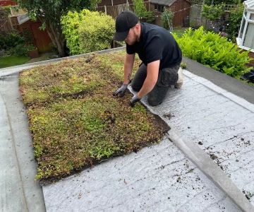 The Pros and Cons of Green Roofs or Living Roofs: Are They Worth the Investment?