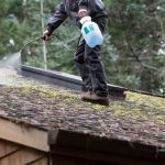 Moss and Algae on Roof: Safe Removal Techniques and Prevention Tips