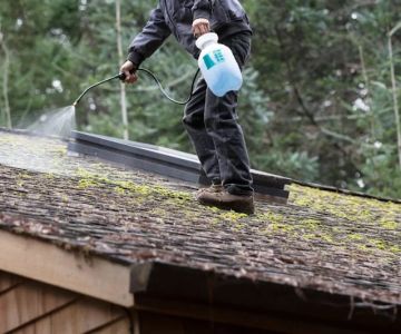 Moss and Algae on Roof: Safe Removal Techniques and Prevention Tips