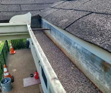 Granule Loss Pattern Guide: Bald Spots vs Even Roof Wear Explained