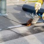 How to Repair a Roof Leak in a Building with a Green Roof | BeachCo Roofing Hub
