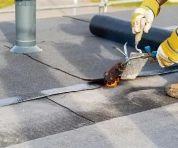 How to Repair a Roof Leak in a Building with a Green Roof | BeachCo Roofing Hub