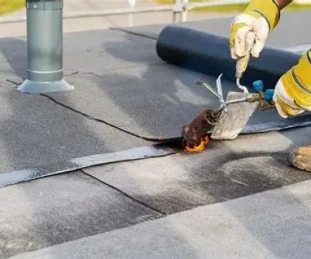 How to Repair a Roof Leak in a Building with a Green Roof | BeachCo Roofing Hub