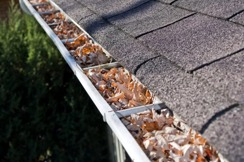 How to Prevent Roof Damage from Clogged Gutters and Downspouts