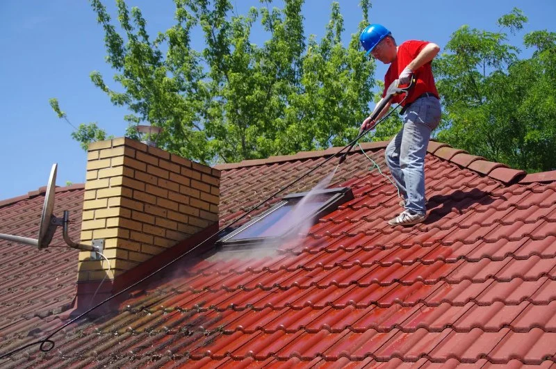 The Best Roofing Shampoo Products for DIY Cleaning That Actually Work