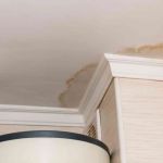 Ceiling Water Stain but No Active Drip?